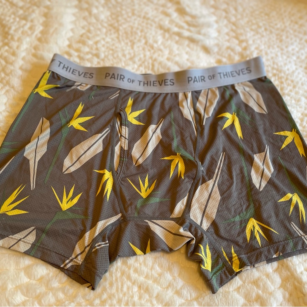 Pair of thieves men’s underwear
